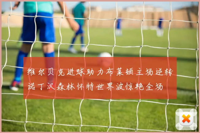 维尔贝克进球助力布莱顿主场逆转诺丁汉森林怀特世界波惊艳全场