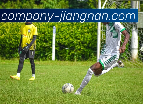 App Interface Preview